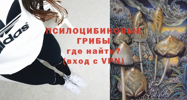 амфетамин Каменногорск