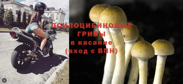соль курить ск Зерноград