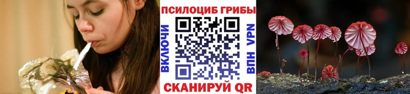 Галлюциногенные грибы Cubensis  Купить  Купино 